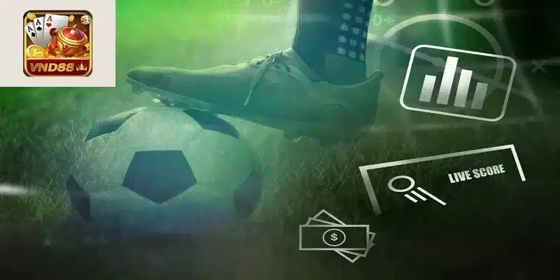 Cách truy cập web cá cược bóng