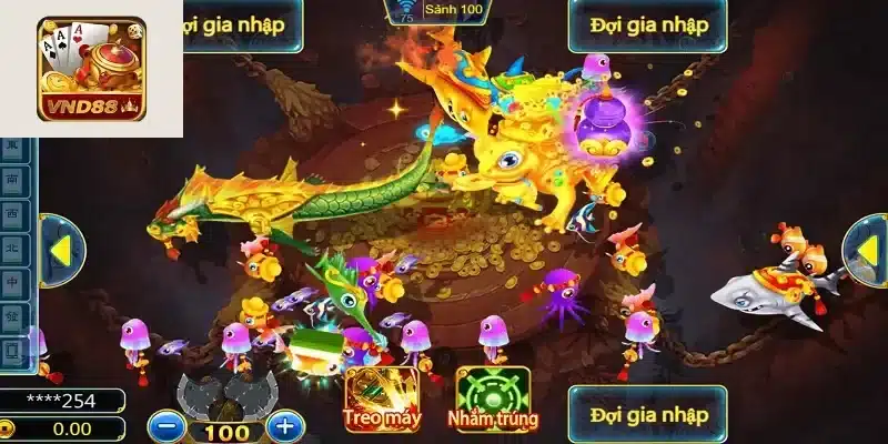 Lý do nên quan tâm đến tiền hoàn bắn cá