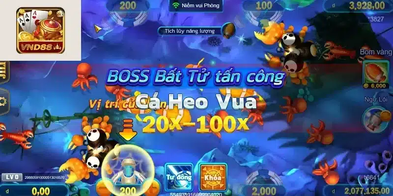 Mẹo dùng tool bắn cá hiệu quả tại VND88